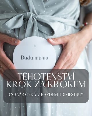 Těhotenství 🤰🏻 víte, co vás kdy čeká? A nebo věděly jste? Pokud byste podobný příspěvek ocenily, nezapomeňte ho poslat své...